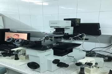 semums-en.amirhos.ivf ward 